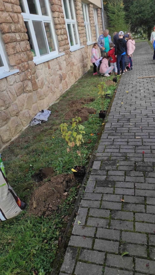 202311131222360.395288717-1051968469376625-5228996319908318224-n