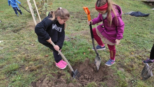 202311131222360.395296422-379354704444999-1169763961504197100-n