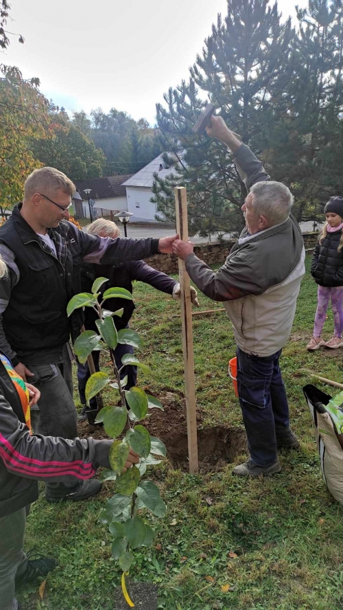 202311131222360.395309175-991283575298140-8994913228986017392-n