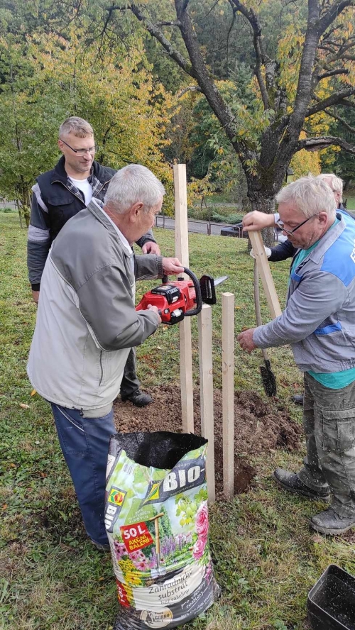 202311131222360.395309193-869779101348017-2224587110412166061-n