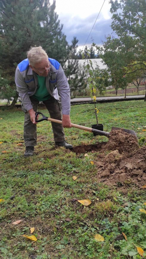 202311131222360.395316367-659381146177487-405118808870127710-n