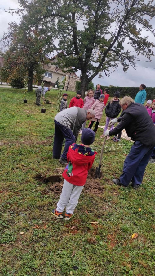 202311131222360.395318960-1005092020659197-666550050744305684-n