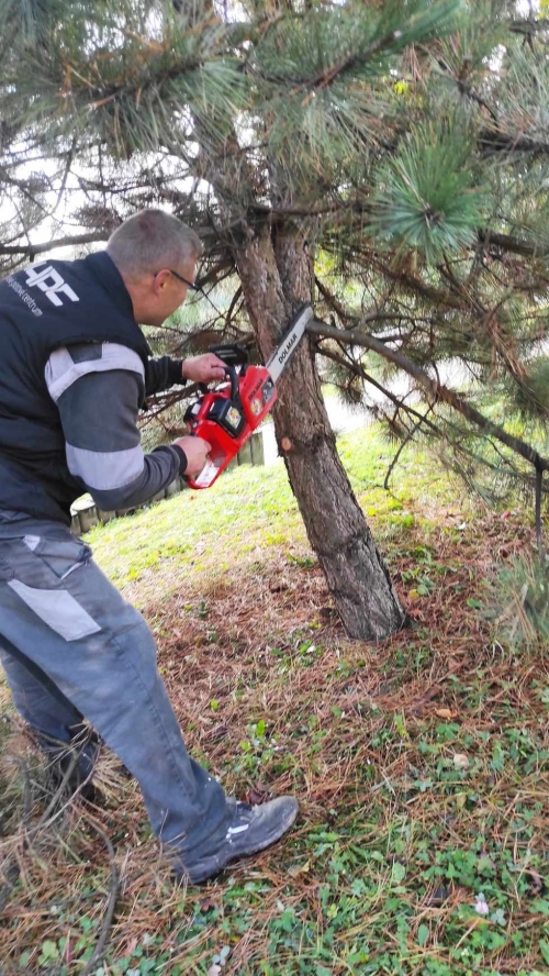 202311131222360.395324167-976255116772472-5375325661159744177-n