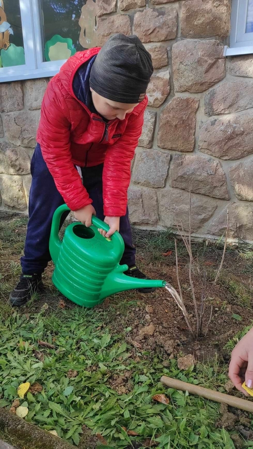 202311131222360.395335339-6956897750997508-8749744857248203951-n