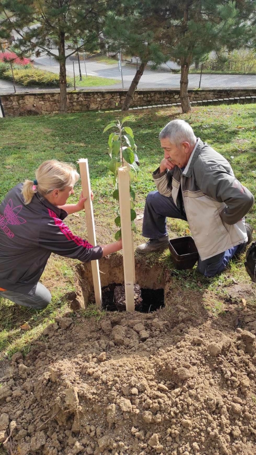 202311131222360.395374469-1059355255512415-110340534347492306-n