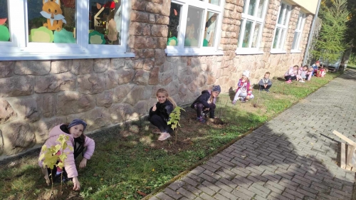 202311131222360.395419824-1025125152052252-6184225936147856005-n