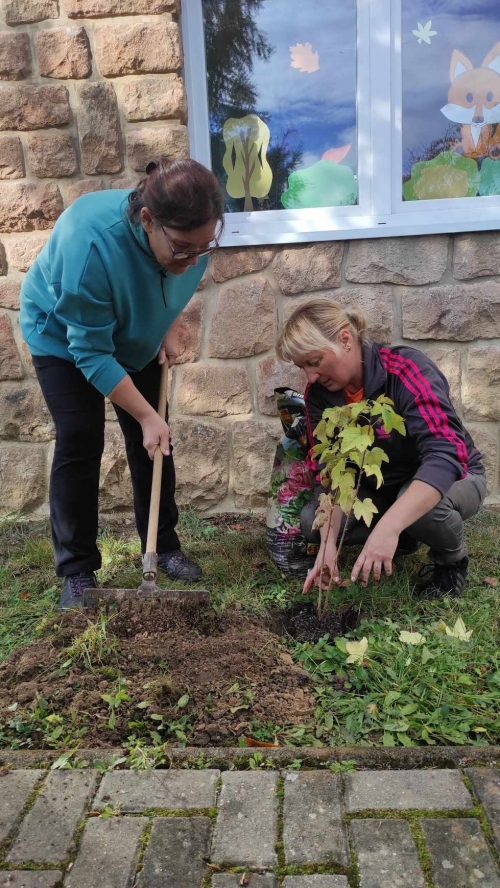 202311131222360.395433790-898046565072005-3271093432428113124-n