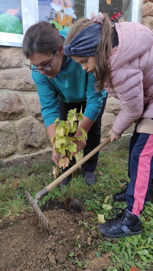 202311131222360.395495571-230702436690501-7051029208023006815-n