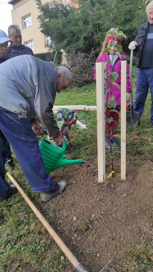 202311131222360.395586244-1068818574478629-1393513499895957492-n