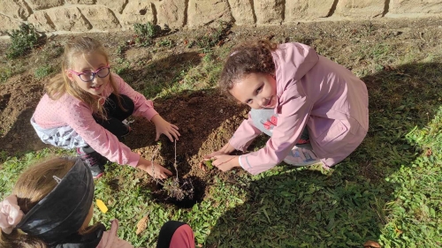 202311131222360.395988936-874694127484420-389916252690629830-n