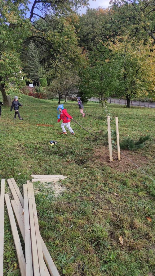 202311131222360.396413000-349854284124895-8475927485771626030-n