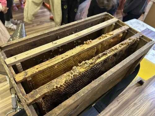 202311151221010.380668961-1510918012994904-2482354513123443158-n