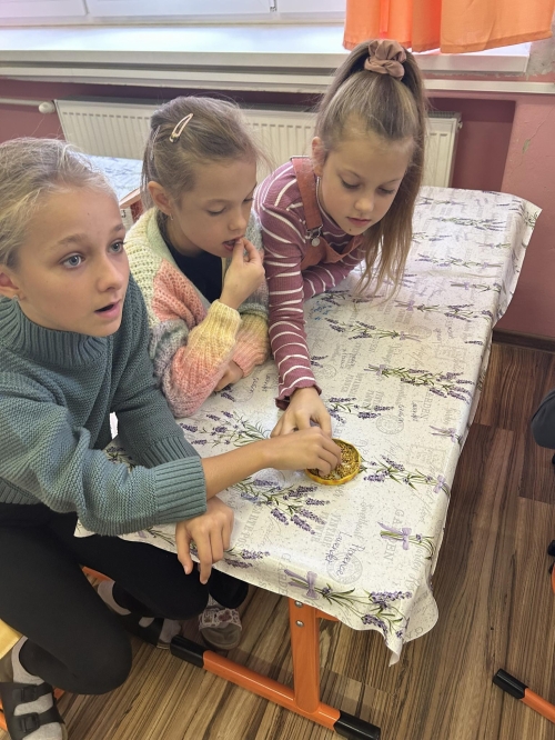 202311151221010.387332621-226180420359294-5165720243592193761-n