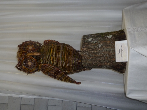 202402191139080.p1130411