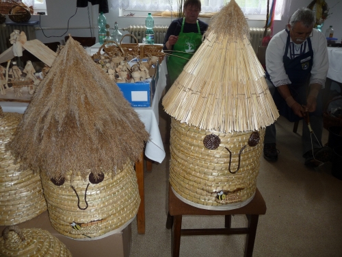 202402191139080.p1130456