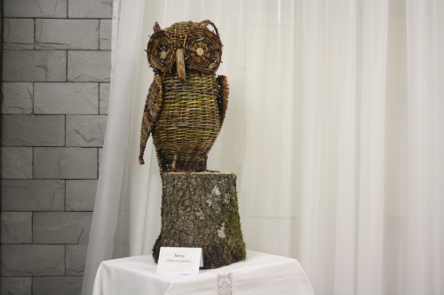 202402191218060.img-3644