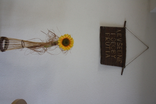 202402191218060.img-3647