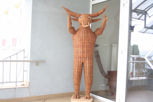 202402191218060.img-3650