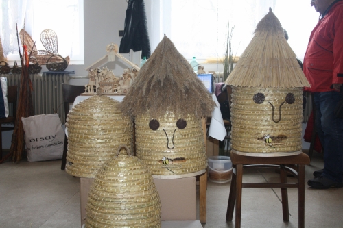 202402191218060.img-3668