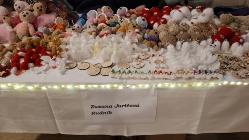 202412131110590.30da6b1b-a381-4a2f-80af-899277e2ffea