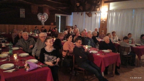 202412191308400.img-20241209-153909155