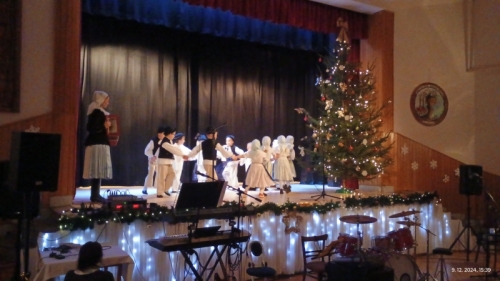 202412191308400.img-20241209-153950435