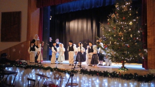 202412191308400.trashed-1736413189-img-20241209-153843708