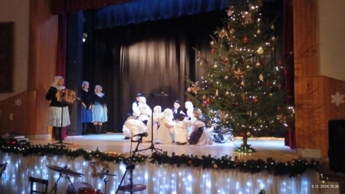 202412191308400.trashed-1736413205-img-20241209-153827872