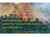 UPOZORNENIE - Aby v lese nehorelo 
