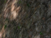 Fotografia: Morské oko - naši škôlkári