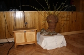Fotografia: Nevšedné podoby prútia r. 2022