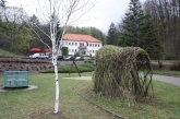 Fotografia: Nevšedné podoby prútia r. 2022