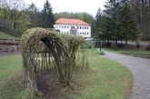 Fotografia: Nevšedné podoby prútia r. 2022