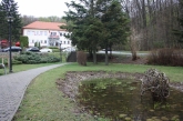 Fotografia: Nevšedné podoby prútia r. 2022