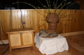 Fotografia: Nevšedné podoby prútia r. 2022