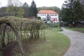 Fotografia: Nevšedné podoby prútia r. 2022